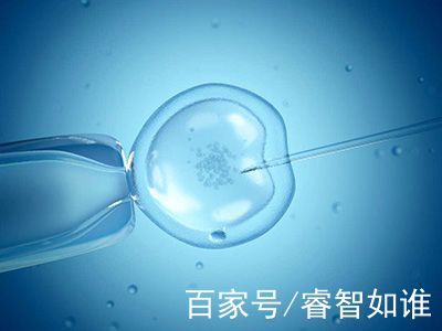 张暖春主任